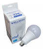 Ampolleta Led Alta Potencia 23w A95 E-27 Luz Fría.